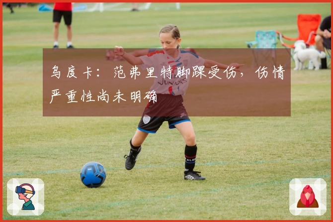 乌度卡：范弗里特脚踝受伤，伤情严重性尚未明确