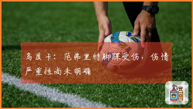 乌度卡：范弗里特脚踝受伤，伤情严重性尚未明确