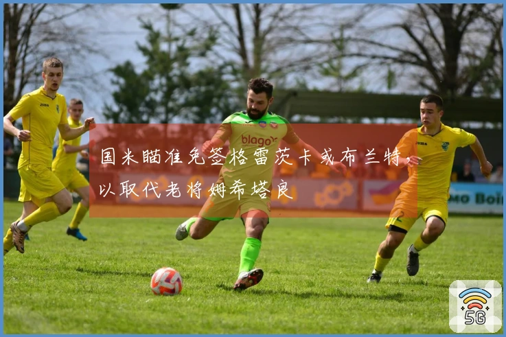 国米瞄准免签格雷茨卡或布兰特，以取代老将姆希塔良