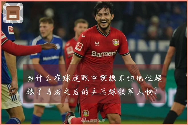 为什么在球迷眼中樊振东的地位超越了马龙之后的乒乓球领军人物？